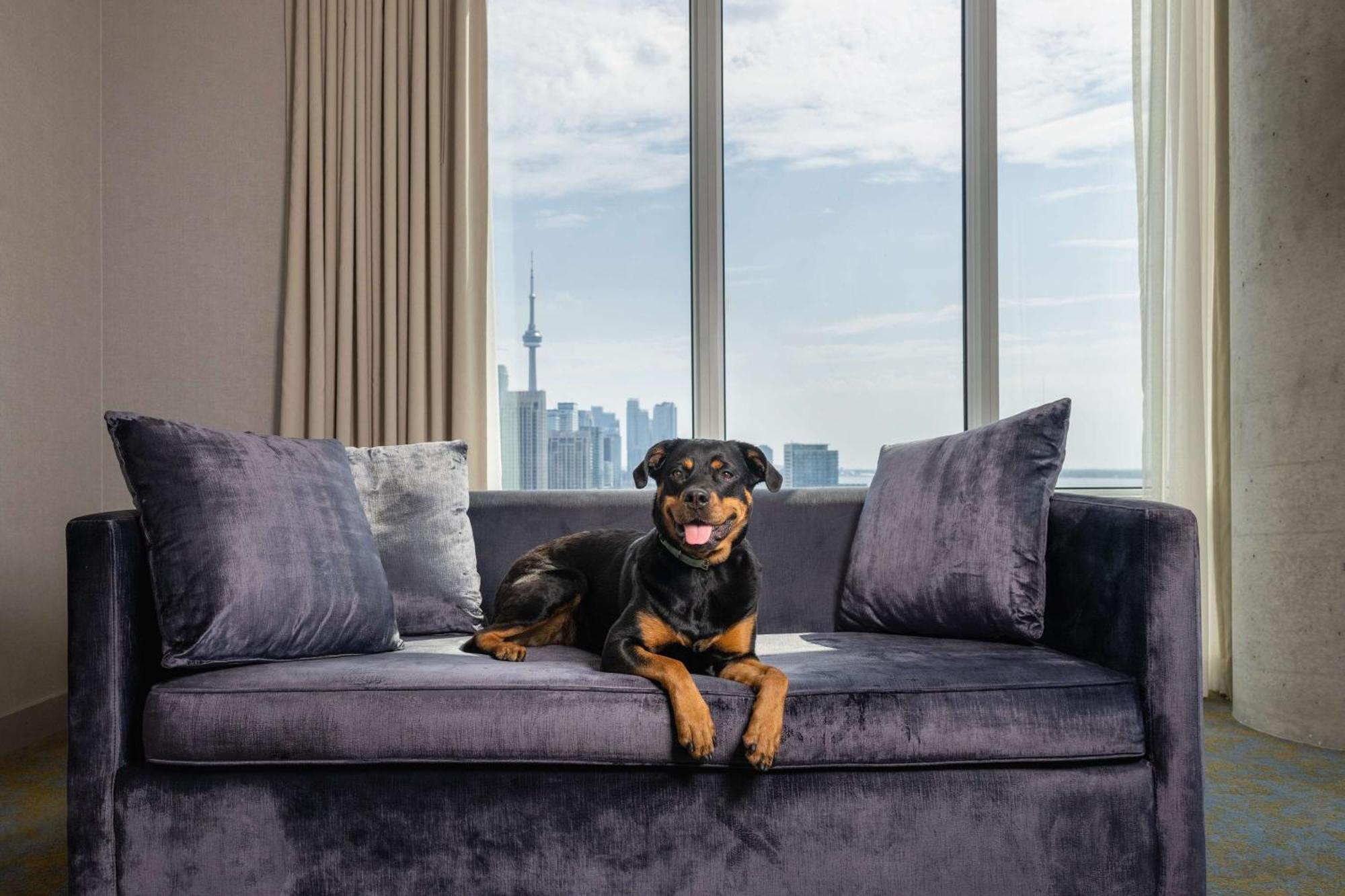 Hotel X Toronto, A Destination By Hyatt Hotel Exterior foto